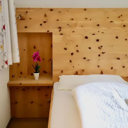 公寓 Der Steinadler *