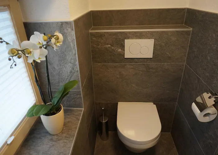 דירה Der Steinadler *