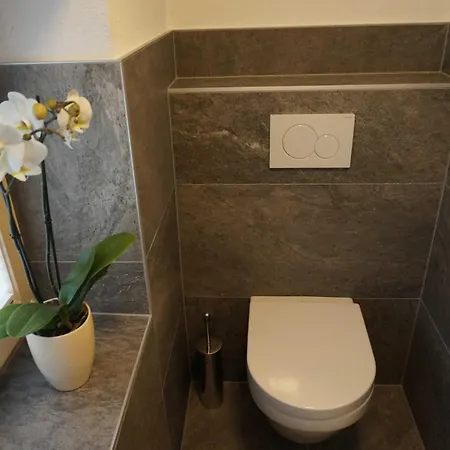 Daire Der Steinadler *