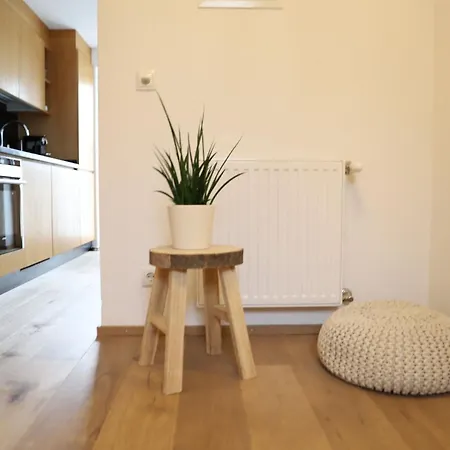 Der Steinadler * Umhausen